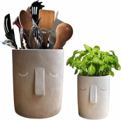 Piante In Cucina 17 Specie Per Arredare Con Stile Home Lover