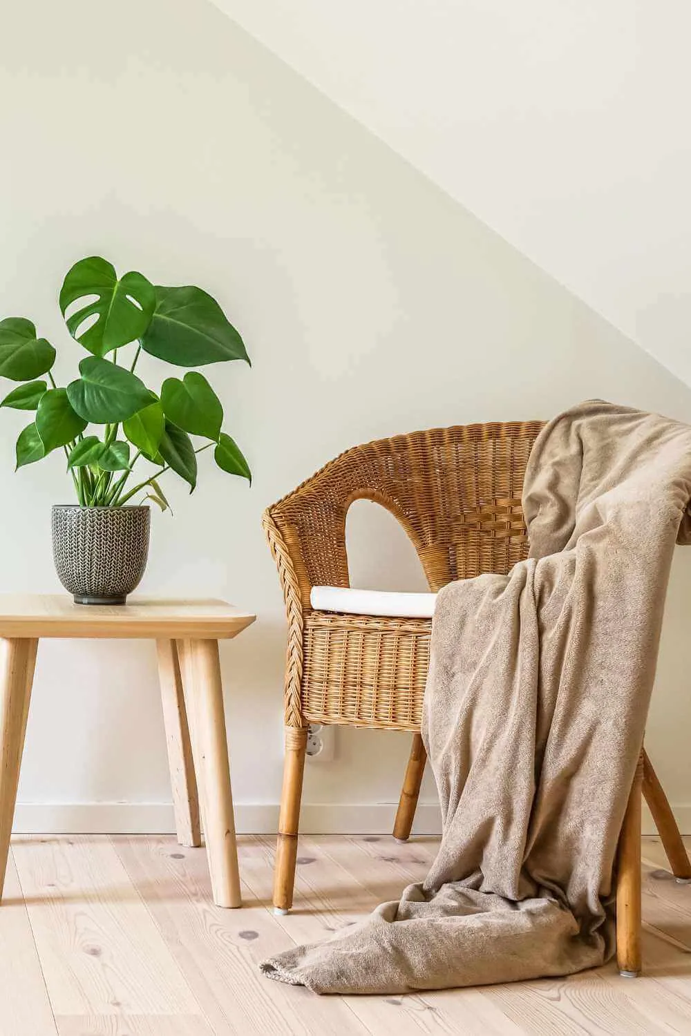 arredamento rattan vimini, mobili in rattan per interni, mobili in vimini da interno, vasi in vimini da interno, mobili in vimini, mobili rattan interni, arredamento in rattan, arredamento rattan, mobili in rattan, mobili in rattan da interno, poltrone in vimini da interno