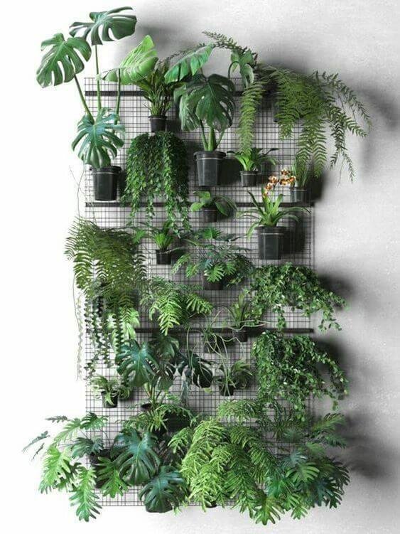 decorare una parete, idee originali per per decorare una parete, decorare le pareti di casa