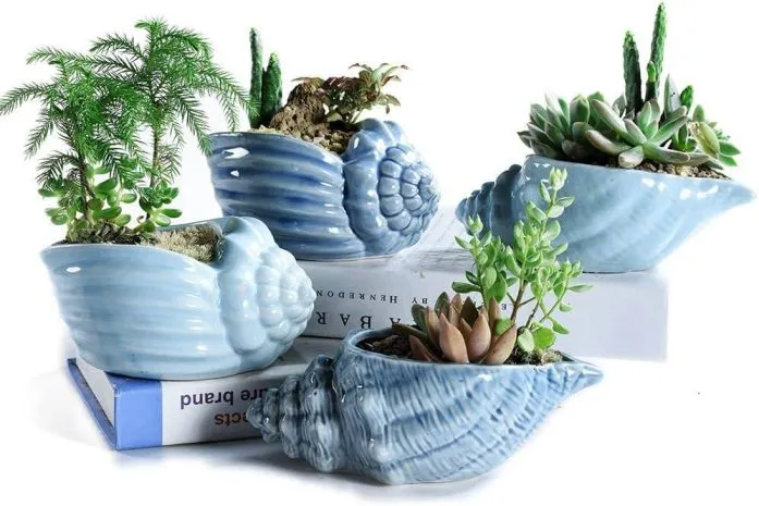 vaso a forma di conchiglia per arredamento in stile coastal