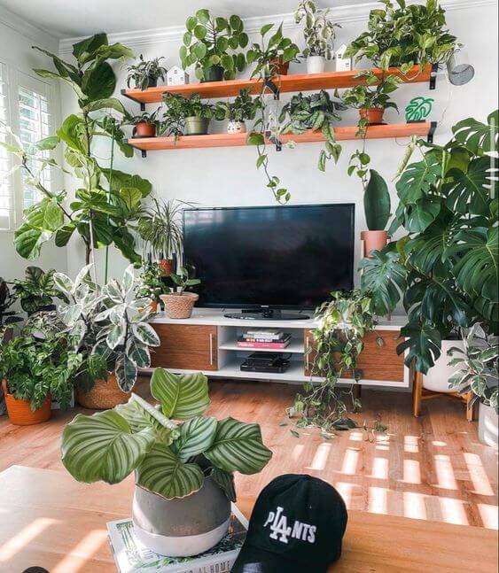 decorare una parete, idee originali per per decorare una parete, decorare le pareti di casa