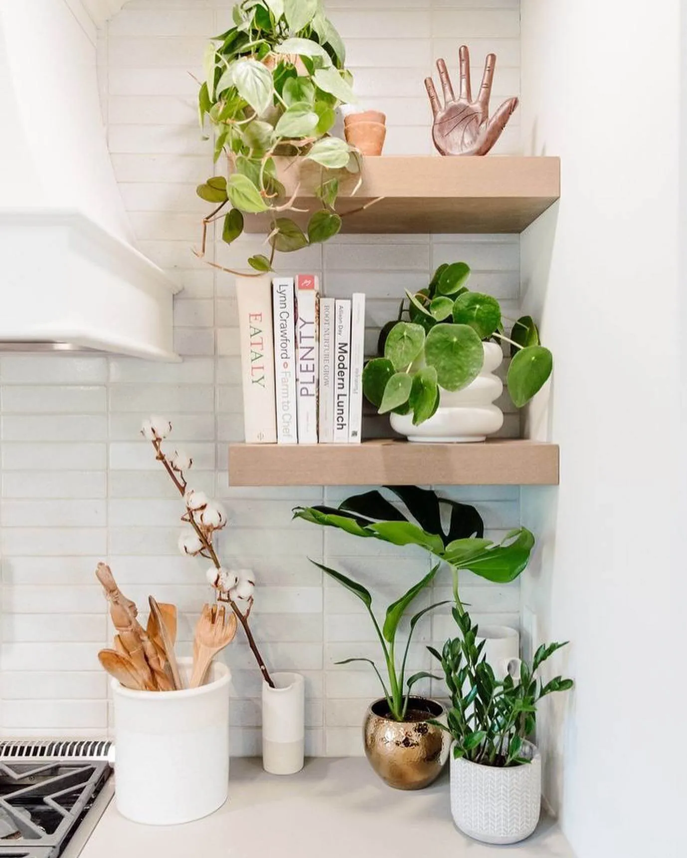 Piante in cucina, idee piante in cucina, arredare cucina con piante, piante da cucina perenni