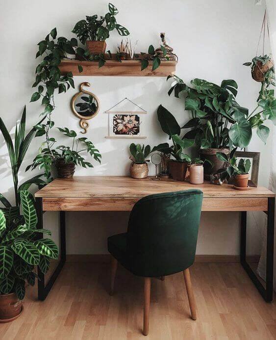 Arredamento jungle, urban jungle arredamento, stile jungle chic, stile jungle arredamento, urban jungle style