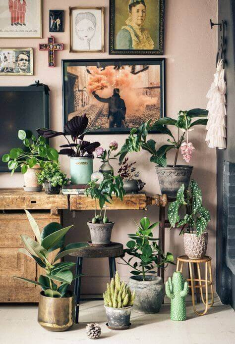 Arredamento jungle, urban jungle arredamento, stile jungle chic, stile jungle arredamento, urban jungle style