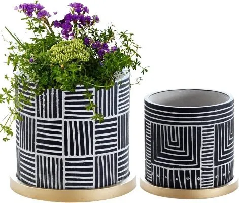 Piante in cucina, idee piante in cucina, arredare cucina con piante, piante da cucina perenni