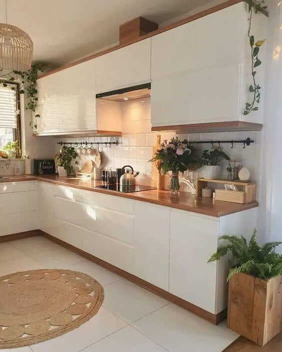 Piante in cucina, idee piante in cucina, arredare cucina con piante, piante da cucina perenni