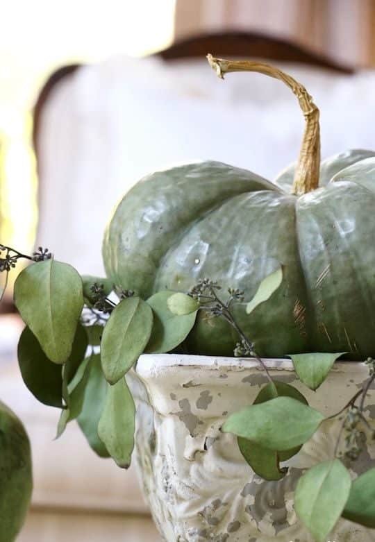 Composizioni autunnali, composizioni autunnali per la casa, composizioni autunnali con le zucche