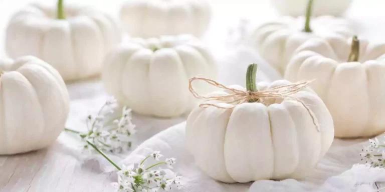 Composizioni autunnali, composizioni autunnali per la casa, composizioni autunnali con le zucche