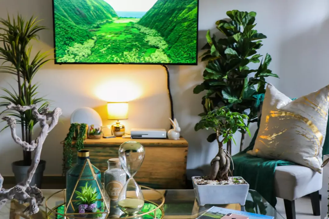 decorare casa, soggiorno con piante