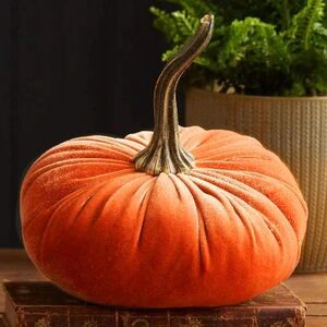 zucca in velluto
